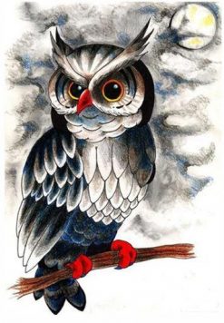 Evil Owl - Birds Paint By Number