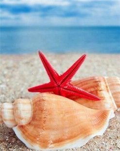 Shells and Starfish on Beach - Seascape Paint By Number