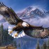 Eagle Flying - Birds Paint By Number