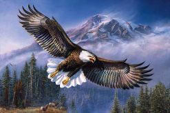 Eagle Flying - Birds Paint By Number