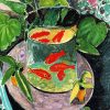 Matisse Goldfish- Still Life Paint By Numbers