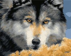 Scary Fierce Wolf Eyes - Animals Paint By Number