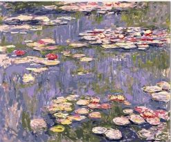 Water Liliy Pond Claude Monet - Landscape Paint By Number