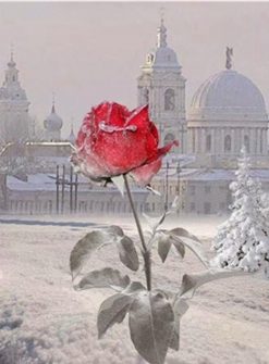 Flowers in Winter - Flowers Paint By Number