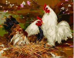 Two Chickens - Birds Paint By Number