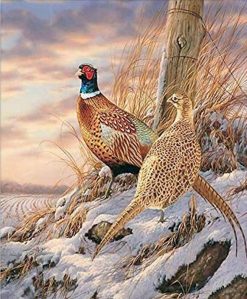 Quail In Snow - Birds Paint By Number