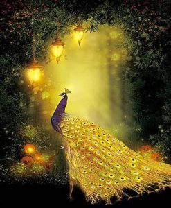 Magic Golden Peacock- Birds Paint By Numbers