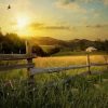Farm Land - Landscape Paint By Number
