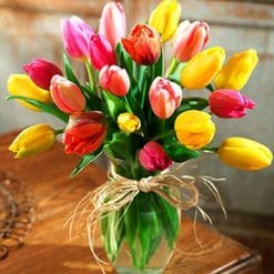 Colourful Tulips -  Flowers Paint By Number