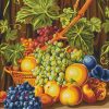 Farm Fruits- Still Life Paint By Numbers