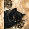 Cat Behind the Wall - Animals Paint By Number