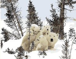 Polar Bear Family - Animals Paint By Numbers