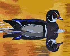 Duck Reflection in The Lake - Birds Paint By Number
