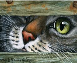 Cat Hiding Under Door - Animals Paint By Number