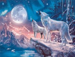 Northern Lights Wolf  - Animals Paint By Number