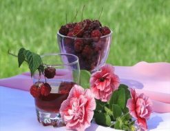 Flower and Berries -  Flowers Paint By Number