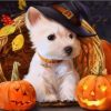 Halloween Dog Animals Modern Acrylic Paint - DIY Paint By Numbers - Numeral Paint