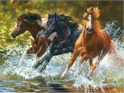 River Running Horse  - Animals Paint By Numbers