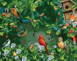 Eastern Bird - Birds Paint By Number