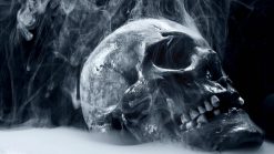 Skull and Smoke- Still Life Paint By Numbers