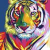 Abstract Tiger - DIY Paint By Numbers - Numeral Paint