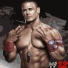 John Cena - Sports Paint By Numbers