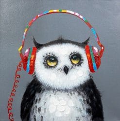Owl Listened To The Music - Birds Paint By Numbers