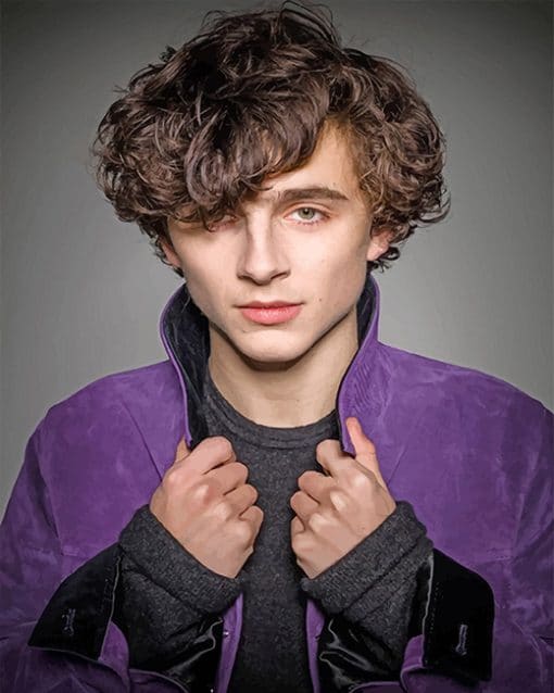 Timothee Hal Chalamet Paint by numbers