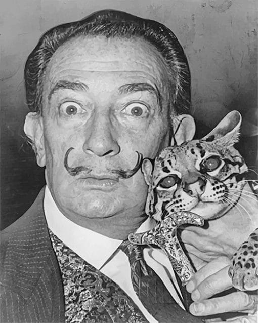 Dali And The Cat Paint By Numbers