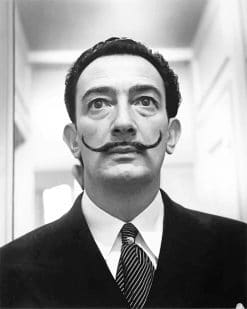 Dali Portrait Paint by numbers