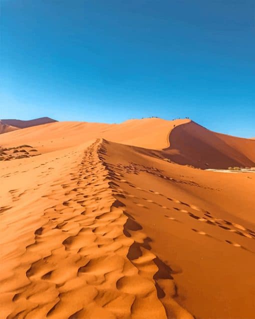 Moroccan Sahara Desert Paint by numbers