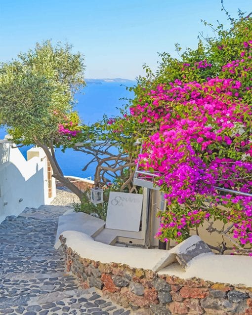 Santorini Greece Pink Flowers Paint by numbers