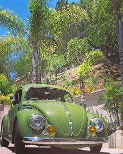 Antique Green VW adult paint by numbers