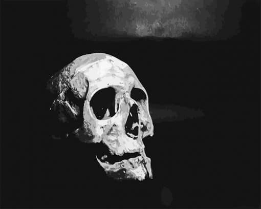 Black And White Skull Paint by number