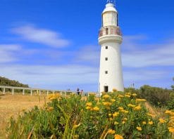 Cape Otway Lightstation Lighthouse Australia adult paint by numbers