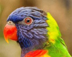 Colorful Parrot Paint by number