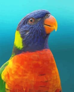 Colorful Parrot Adult Paint by number