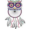 Dream catcher Owl adult paint by numbers