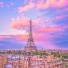 Eiffel Tower Pink Sky adult paint by numbers