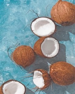 Fresh Coconut adult paint by numbers