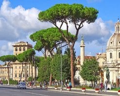 Italy Rome Antique Buildings adult paint by numbers