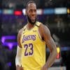 Lebron Jame Lakers adult paint by number