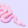 Pink Snake adult paint by numbers