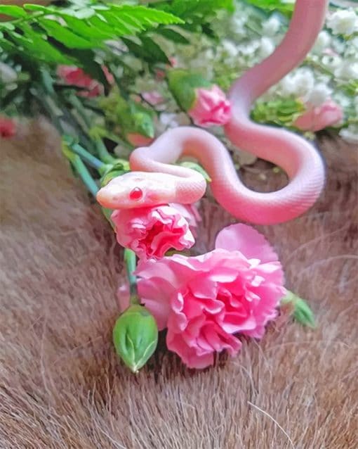 Pink snake with flowers adult paint by numbers