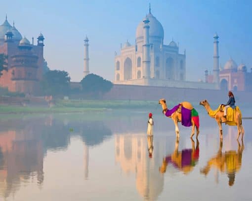 Taj mahal india landscape adult paint by numbers