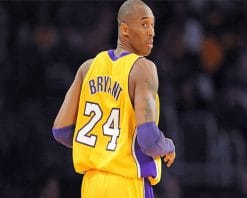 The Best Kobe Bryant adult pain by number