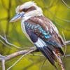 woodpecker Bird paint by number