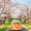 Yellow VW and cherry blossom adult paint by numbers