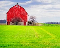 Barn Green Field paint by number