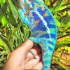 Blue Chameleon paint by number